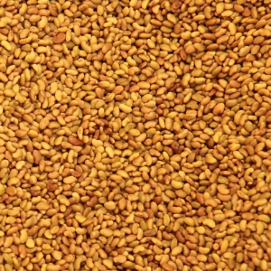 Australian Alfalfa Seed