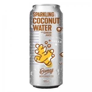 Bonsoy Sparkling Coconut Water 320ml - Ginger