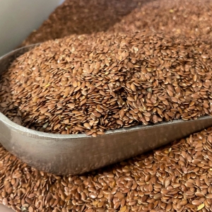 Organic Australian Linseed/Flax Seed