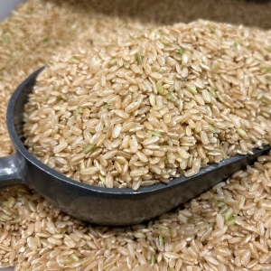 Organic Australian Medium Grain Brown Rice