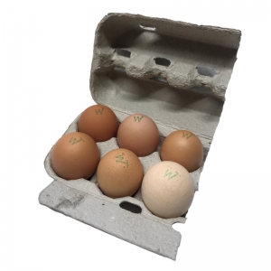 Nook Chook Free Range Pastured Eggs - Half Dozen