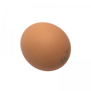 Nook Chook Free Range Pastured Eggs - Single Egg