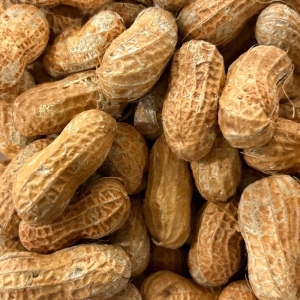 Australian Roasted Peanuts in Shell