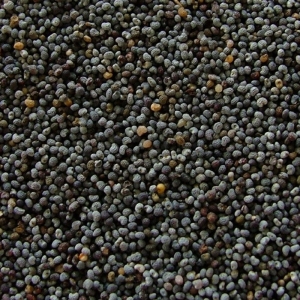 Tasmanian Poppy Seeds