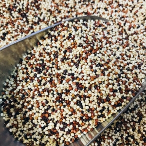 Organic Tri-Colour Quinoa