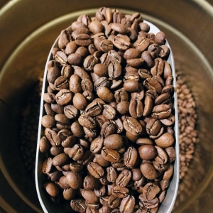 The Beansmith Organic Tasmanian Coffee Beans (PNG Purosa AX Organic)